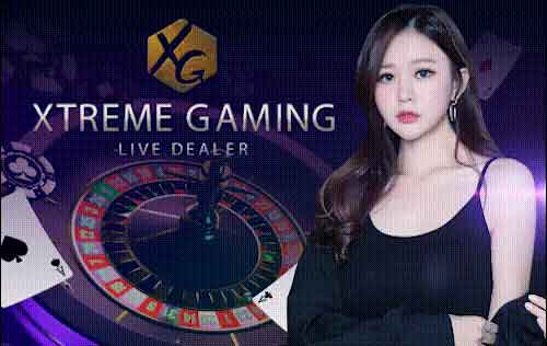 XTREME GAMING rb289